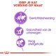 Infographic die op maat gemaakte kattenvoeding promoot, met iconen voor gewichtsbeheersing, urinegezondheid en een hoog eiwitgehalte, met Nederlandse tekst.