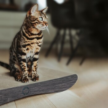 Eine Bengal-Katze sitzt auf einem stilvollen Holzkratzbaum und schaut nachdenklich zur Seite, mit einem verschwommenen Hintergrund eines modernen Zuhauses.