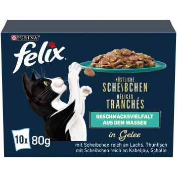 Schwarz-weiße Katze greift nach einem "Felix" Katzenfutterteller mit der Aufschrift "Köstliche Scheibchen in Gelee" mit Lachs- und Thunfischgeschmack.