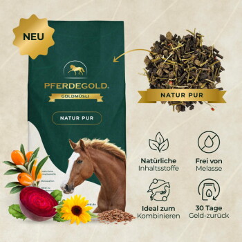 Grüne PFERDEGOLD Goldmüsli-Tüte NATUR PUR mit Pferdebild, NEU-Badge, Futterprobe und pflanzlichen Zutaten.