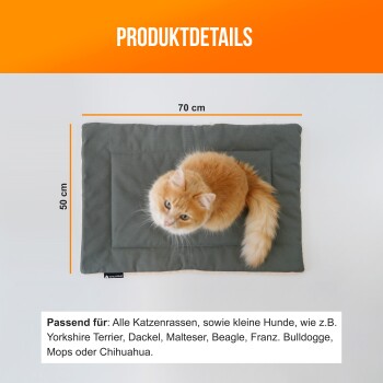 Eine flauschige orange Katze sitzt auf einer grauen Haustiermatte, die 70 cm mal 50 cm misst, mit einem Text, der angibt, dass sie für alle Katzenrassen und kleine Hunde geeignet ist.