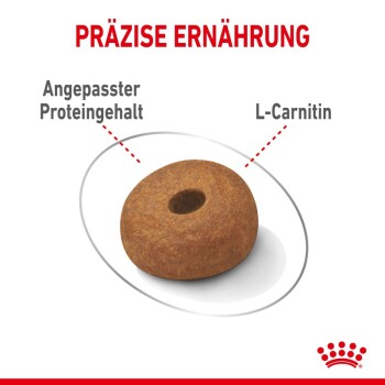 Hundefutter-Kibble mit einem Loch in der Mitte, beschriftet mit "Präzise Ernährung," das "Angepasster Proteingehalt" und "L-Carnitin" hervorhebt.
