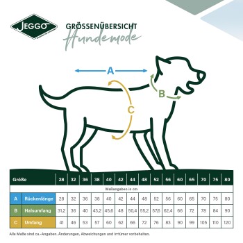 Größentabelle für Hundebekleidung von Jeggo, mit Maßen für Rückenlänge (A), Halsumfang (B) und Brustumfang (C) in Zentimetern.