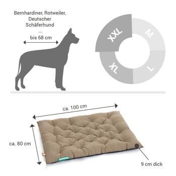 Maße des Hundebetts mit einer Silhouette einer großen Hunderasse, die Größenempfehlungen für Rassen wie Bernhardiner und Rottweiler zeigt.