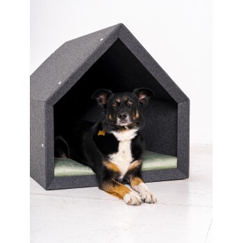 Ein schwarz-brauner Hund entspannt sich in einem modernen, grauen Filz-Hundehäuschen mit einem grünen Kissen, das eine gemütliche Haustierumgebung zeigt.