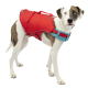 Ein Hund, der eine leuchtend rote Schwimmweste mit blauen Riemen trägt, steht vor einem weißen Hintergrund.