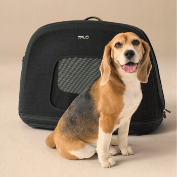 Ein Beagle sitzt neben einer schwarzen Tragetasche für Haustiere mit einem Netzfenster, das ein stilvolles Design für Reisen zeigt.