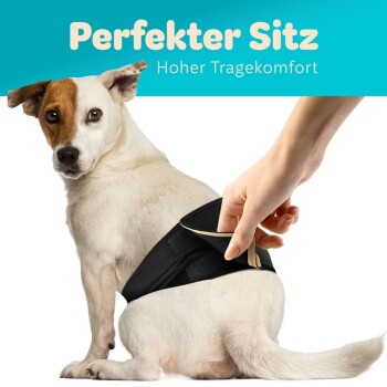 Ein Hund, der ein leuchtend gelbes Geschirr trägt, wird von einer Hand angepasst. Der Text darüber lautet 'Perfekter Sitz' und 'Hoher Tragekomfort.'