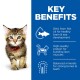 A playful tabby kitten with green eyes and a red collar stands beside a blue section listing benefits like DHA, protein, and minerals.
