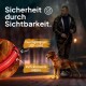 Eine Person hält eine Leine, die an einem Golden Retriever in einem Park bei Dämmerung befestigt ist. Text lautet "Sicherheit durch Sichtbarkeit" mit hervorgehobenen Merkmalen.