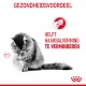 Een grijze en witte kat die zichzelf verzorgt, met tekst die zegt 'Gezondheidsvoordeel' en 'Helpt haarbalvorming te verminderen' in het rood.