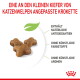 Drei braune Kroketten; deutscher Text: angepasst an kleine Kätzchenkiefer; natürliche Antioxidantien; keine künstlichen Farbstoffe oder Aromen.