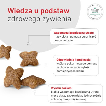 Sternförmiges braunes Tierfutter; polnische Überschrift 'Wissen über die Grundlagen gesunder Ernährung' und 'Gewichtsmanagement'-Logo.