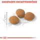Protein Exigent 10 kg