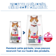 Deux sachets de nourriture stérilisée pour chats Hill's (ancien et nouveau) montrant un chat orange et blanc, une flèche, « Recette améliorée » et « ActivBiome+ »