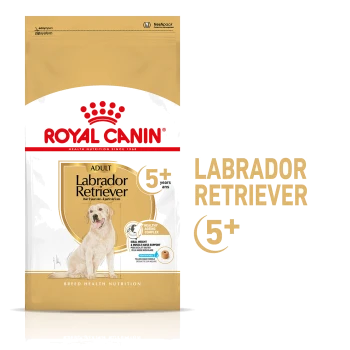 Royal Canin Adult Labrador Retriever dog food bag, designed for dogs over 5 years old, featuring a golden Labrador image and health claims.
