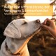 Weißer Hund nimmt ein Leckerli aus einer Hand; Banner: 'Natürliche Unterstützung für Verdauung & Immunsystem' (Deutsch oben).
