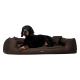 Ein braunes Hundebett mit schlankem Design, mit einem Hund, der darauf ruht. Textüberlagerung lautet 'INKLUSIVE MATRAZENSCHONER GIBT'S OBENDRAUF.'