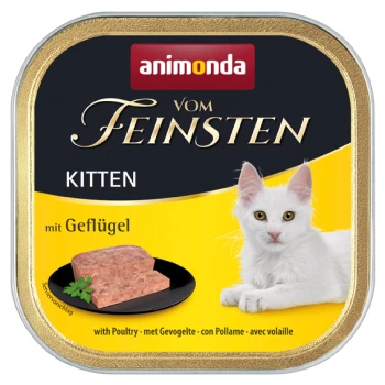 Vom Feinsten Kitten 32 × 100 g Drób Puszka karmy dla kociąt Animonda Vom Feinsten, z białym kociakiem obok talerza mięsa, z tekstem wskazującym 'z drobiem' i 'mit Geflügel.'