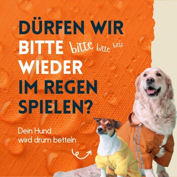 Zwei Hunde in bunten Regenmänteln vor einem orangefarbenen Hintergrund mit Wassertropfen. Text: "Können wir wieder im Regen spielen? Dein Hund wird betteln."