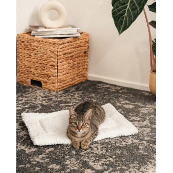 Getigerte Katze liegt auf einer weißen Plüsch-Haustiermatte auf gemustertem Teppich, im Hintergrund ein geflochtener Aufbewahrungskorb und eine Topfpflanze.