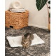 Getigerte Katze liegt auf einer weißen Plüsch-Haustiermatte auf gemustertem Teppich, im Hintergrund ein geflochtener Aufbewahrungskorb und eine Topfpflanze.