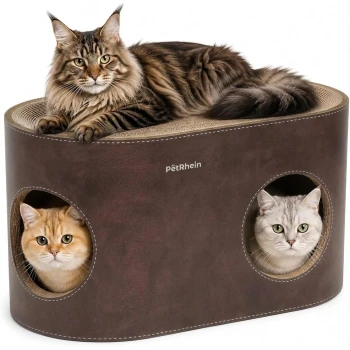 Braunes Katzenhäuschen mit Aufschrift „PetRhein“, darauf döst eine grau-weiße Katze, und eine dreifarbige Katze lugt aus einem runden Loch.