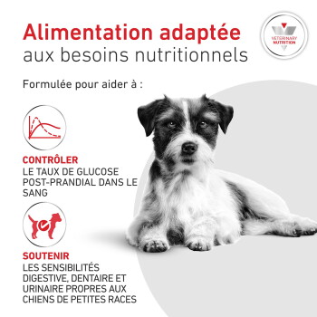 Petit chien noir et blanc à côté du titre français 'Alimentation adaptée aux besoins nutritionnels' et d'un badge Veterinary Nutrition.