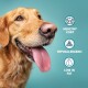 Golden retriever with a tongue out, accompanied by icons and text stating "Healthy Coat," "Hypoallergenic," and "Low in Fat."
