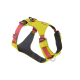 Gelbes und rotes Hundegeschirr mit verstellbaren Riemen und einem robusten Design, mit einem Metall-D-Ring zur Leinenbefestigung.