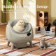 Weiße, flauschige Katze in grauer CAT·LINK Open-Top-Katzentoilette, eine weitere Katze auf dem Teppich; sichtbarer Text: "Geräumiges Open-Top-Design".