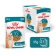 Nourriture pour chat senior Royal Canin 15+, sachet de 85g, morceaux en sauce, pour chats de plus de 15 ans, boîte de 12.