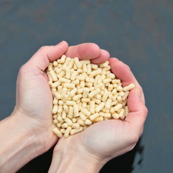 Eine Person hält eine Handvoll kleiner, hellfarbener Haustierfutterpellets vor einem dunklen Hintergrund.