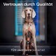 Ein sitzender Hund mit einem stilvollen Halsband und einer Leine, mit dem Text "Vertrauen durch Qualität" und "TÜV-zertifizierte Sicherheit" deutlich sichtbar.
