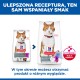 Opakowania karmy Hill's Science Plan Sterilised Cat z rudzawym kotem i polskim tekstem 'ULEPSZONA RECEPTURA, TEN SAM WSPANIAŁY SMAK'.