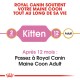 Guide d'alimentation Royal Canin Maine Coon, indiquant "Chaton" pour 2 mois et "Adulte" pour 12 mois, avec une note de transition.