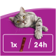 Graue getigerte Katze mit gelben Augen vor lila Hintergrund über einem weißen Kasten mit der Aufschrift „1x / 24h“ und einem einzelnen Leckerli‑Streifen