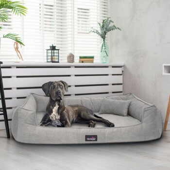 Ein graues Hundebett mit einem entspannten schwarzen Hund darauf, in einem hellen Raum mit großen Fenstern und dekorativen Pflanzen.