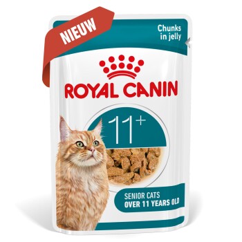 Royal Canin Senior kattenvoer voor katten ouder dan 11 jaar, stukjes in gelei, met een afbeelding van een oranje tabby kat.