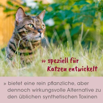 Nahaufnahme einer Bengal-Katze im Gras mit dem Text: "speziell für Katzen entwickelt" über eine pflanzenbasierte Alternative zu Toxinen.