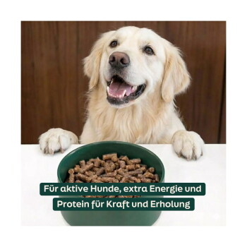 Golden Retriever neben einer Futterschüssel; Text: 'Für aktive Hunde, extra Energie und Protein für Kraft und Erholung'.