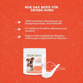 MediDog Gelenk Schmiere Gelenk-Pulver für Hunde auf orangefarbenem Hintergrund mit einem Löffel, der Vorteile und Zutaten zeigt.