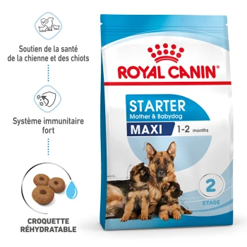 Sac de nourriture pour chiens Royal Canin Starter Mother & Babydog Maxi, avec une mère chien et trois chiots, mettant en avant le soutien immunitaire et les croquettes réhydratables.