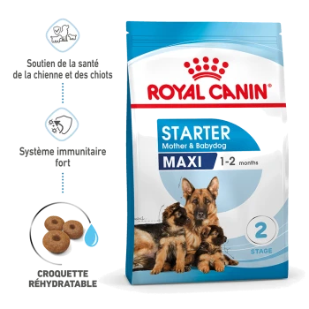 Sac de nourriture pour chiens Royal Canin Starter Mother & Babydog Maxi, avec une mère chien et trois chiots, mettant en avant le soutien immunitaire et les croquettes réhydratables.