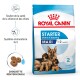 Sac de nourriture pour chiens Royal Canin Starter Mother & Babydog Maxi, avec une mère chien et trois chiots, mettant en avant le soutien immunitaire et les croquettes réhydratables.