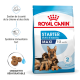 Sac de nourriture pour chiens Royal Canin Starter Mother & Babydog Maxi, avec une mère chien et trois chiots, mettant en avant le soutien immunitaire et les croquettes réhydratables.