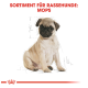 Illustration eines süßen Mops-Welpen, der sitzt, mit dem Text "SORTIMENT FÜR RASSEHUNDE: MOPS" darüber in fetten roten Buchstaben.