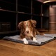 Hundematte Travel Superior M