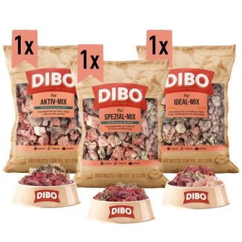 Drei Beutel DIBO Hundefutter mit den Aufschriften "Ideal-Mix", "Spezial" und "Aktiv-Mix", mit Schalen von gemischtem Fleisch davor.