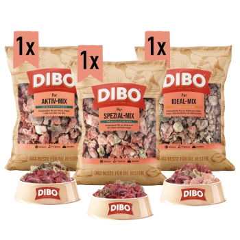 Drei Beutel DIBO Hundefutter mit den Aufschriften "Ideal-Mix", "Spezial" und "Aktiv-Mix", mit Schalen von gemischtem Fleisch davor.